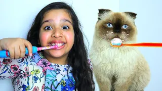 روتين شفا مع قطتها !! Shfa and best cat stories