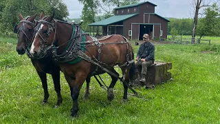 Improve your draft horse driving technique.