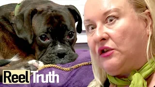 The Job Centre: Episode 2 | Full Documentary | Reel Truth