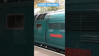 Deltic UP CLOSE Engine START-UP 55009 Alycidon - Napier Engine!!! TURN UP Your Volume!!!