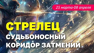 Стрелец: гороскоп на коридор Затмений март-апрель 2024 г. #стрелец #стрелецгороскоп #стрелецпрогноз