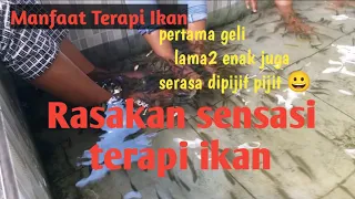 Manfaat terapi ikan // Sensasi luar biasa terapi ikan