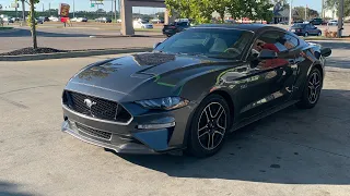 My 2019 mustang GT experience after 6 months of ownership!
