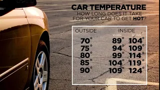 How hot can the inside of a car get in 10 minutes?