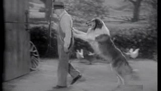 Lassie - Episode 94 - "The Search" -  Season 3, #29  (03/24/1957)