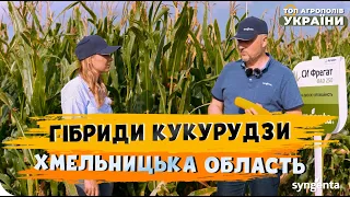 Гібриди кукурудзи «Сингента» | «УКРАЇНА-АГРО-2С», Хмельницька область