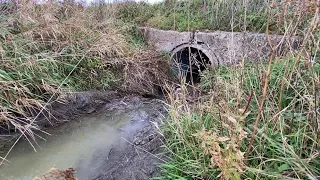 BEAVER DAM REMOVAL | 3 OF 5