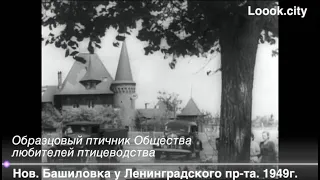 08  «Нарушители».  Образцовый птичник.  Нов.  Башиловка.  1949г.  Счастливый рейс