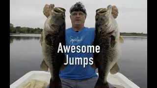 More Big Bass Action Using Wild Shiners