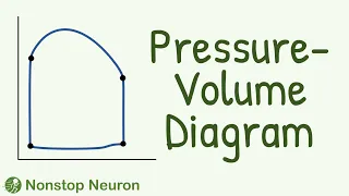 ONLY TOPPERS DARE to Study Pressure Volume Diagram During the Cardiac Cycle || Pressure Volume Loop