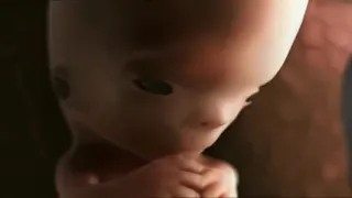 9 месяцев беременности за 10 минут 3D  Потрясающее видео