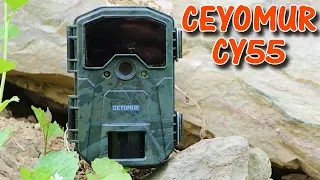 Ceyomur CY55 No Glow (black flash) Trail Camera Field Test and Review: Sample videos/pics included