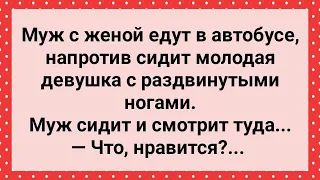 Муж в Автобусе Смотрит на Ноги Других Женщин! Сборник Свежих Анекдотов! Юмор!mp4