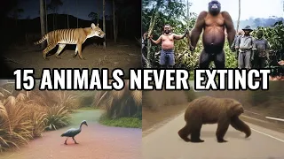 15 Believed Extinct Animals Still Alive Today