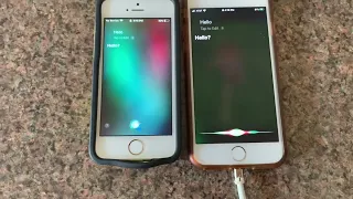 Two Siri’s Talking To Each Other