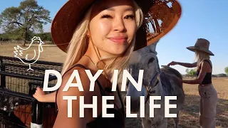 Day in the Life as a Ranch Hand | VLOG|  RRAYYME