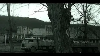 Kursimi i Shoferve tane VITI 1983 #albania #automobile #skoda