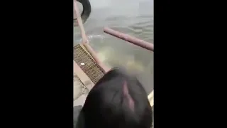 Croc attacks man ending his life