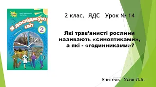 2 клас. ЯДС  Урок № 14  Які трав’янисті рослини називають «синоптиками», а які - «годинниками»?