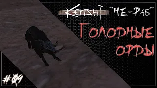 Бывший раб песков #09 | Kenshi 1.0.51 Прохождение (4 сезон).