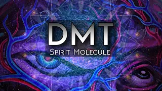 DMT & the Nature of Reality: Consciousness, Spirit Realms, Multiverse Theory