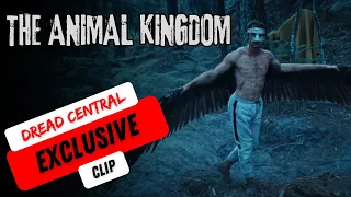 The Animal Kingdom Exclusive Clip | Mutant Madness