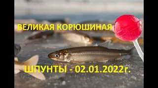 Корюшка на Финском заливе. Рыбалка с камерой FocusFish . Шпунты. Открытие сезона 02.01. 2022 г.