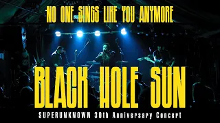 Black Hole Sun by No One Sings Like You Anymore. Live from Grand Social Dublin - 8th March 2024