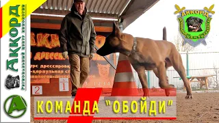 Дрессировка щенка. КОМАНДА "ОБОЙДИ"