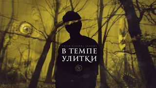 В ТЕМПЕ УЛИТКИ | ДОКУМЕНТАЛЬНЫЙ ФИЛЬМ