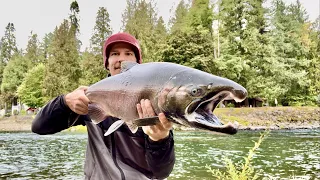 Coho Salmon Fishing My Home River In Oregon - THIS IS WHY You Change Colors & Cover ALL Water