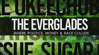 The Everglades: Where Money, Politics & Race Collide