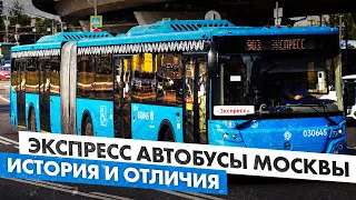 Экспресс маршруты автобусов в Москве. Чем они отличаются и зачем нужны?