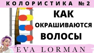 2 Урок Колористики / Уроки по окрашиванию волос / Как волос окрашивается краской!