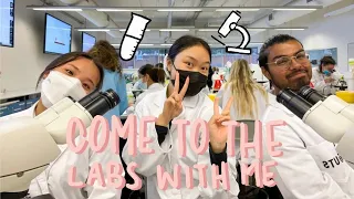 WHAT ITS LIKE IN A PRACTICAL LAB (uts uni vlog)