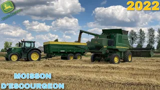 🌾🇧🇪MOISSON D’ESCOURGEON 2022 | EN FULL JOHN DEERE | 6175r 🌾🇧🇪