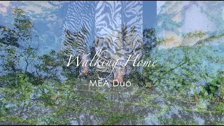 MEA Duo  - Walking Home (Handpan & Guitar)