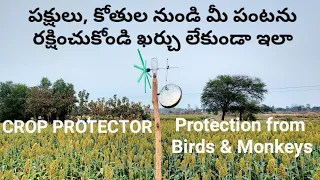 CROP PROTECTOR - Protection from Birds & Monkeys | పక్షులు, కోతుల నుండి మీ పంటను రక్షించుకోండి ఇలా |