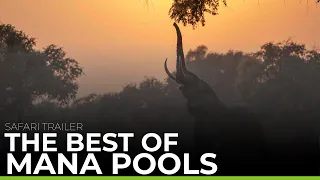 THE BEST OF MANA POOLS | Safari trailer