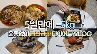 운동없이 5일만에 -5kg 급찐급빠 다이어트 브이로그