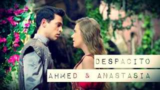 Anastasia & Ahmed | Despacito | Napisy PL