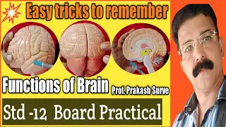 Board Practical-Human Brain Functions of Diff. Parts(Practical-7) By Prof. Prakash Surve (Moderator)