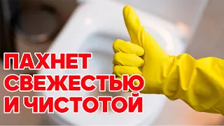 УНИТАЗ ВСЕГДА ЧИСТЫЙ И ПАХНЕТ ЧИСТОТОЙ