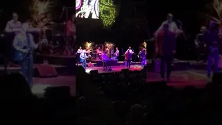 The Beach Boys   Darlin'   Royal Albert Hall London 250619