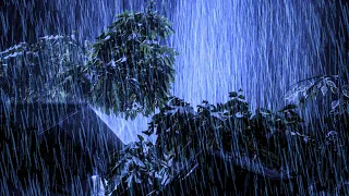 Fall into Sleep Immediately with Sound Rain, Thunder, Strong Wind & Foggy on Empty Roof at Night