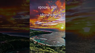 крошка моя(speed up)