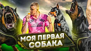 МОЯ ПЕРВАЯ СОБАКА | ДОБЕРМАН