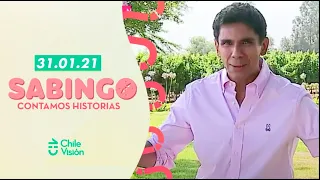 Sabingo | Capítulo 31 de enero