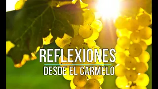 «Permanecer. Dejarnos hacer por Dios» Domingo V de Pascua. Reflexión desde el Carmelo