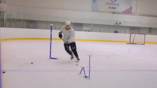 TSP Тренажер многофункциональный HOCKEY TRAINER